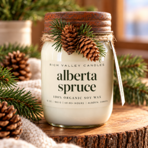 alberta spruce